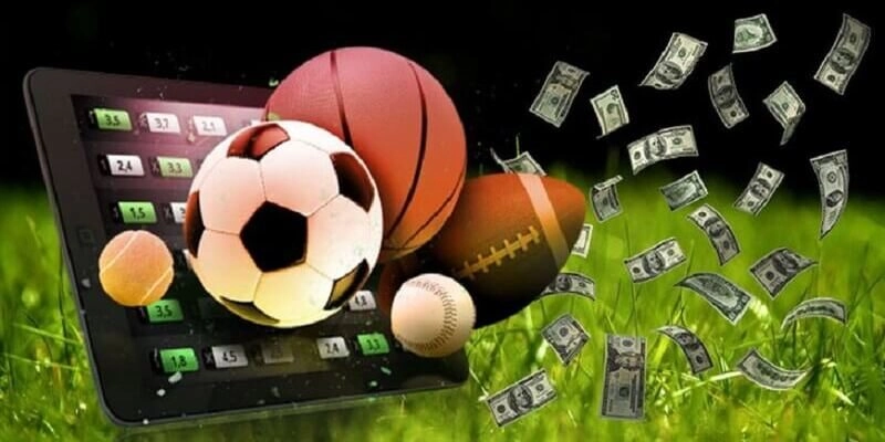 Cách lựa chọn nhà cái để chơi cá độ online