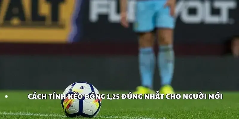 Cách tính kèo bóng 1,25 đúng nhất cho người mới